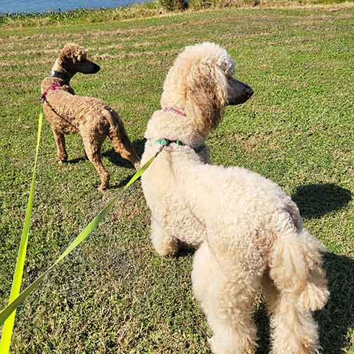 neopy3yrs03.jpg neopy3yrs03.jpg