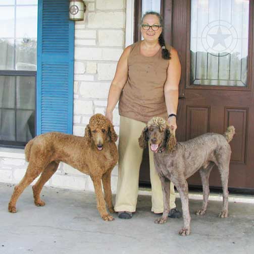 royalBrunoRangerTX.jpg royalBrunoRangerTX.jpg